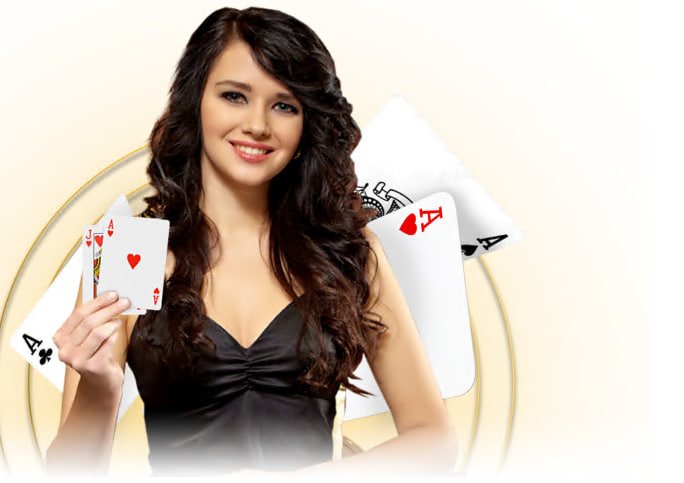 333bet6